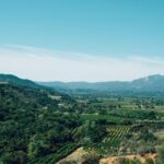 2025109期彩票开奖顺序完整揭晓 0htp9xebxa