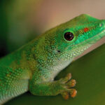 2025125期开奖结果最新公布,大奖花落谁家? 55412me0