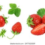 2025113d开奖结果查询与最新开奖号码公布 60v76