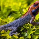 4394现场开奖全程直播,见证激动人心的开奖时刻 833kirzx8