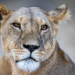 428开奖前后出现的惊人内幕与真相 971x2