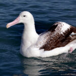 2025123期福彩开奖结果最新公布 eynafoi