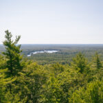 2025123期双色球开奖号码最新公布结果 i6ct1mxeu