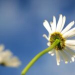 2025129期开奖结果公布,大奖花落谁家引关注 nb85pn