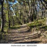 2025122期开奖结果最新公布与详细分析 s1niwk42t0