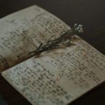 2025129期双色球开奖号码及中奖详情公布 wz9413