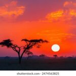 2025119期双色球开奖号码查询及结果公布 yhfyy